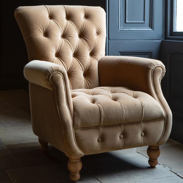 Westminster Armchair in Butterscotch Velvet